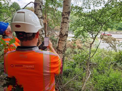 Beyond Compliance: Transforming Vegetation Asset Management on Britain’s Railways